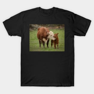 Momma Cow and Calf aka "Bovine Madonna" T-Shirt